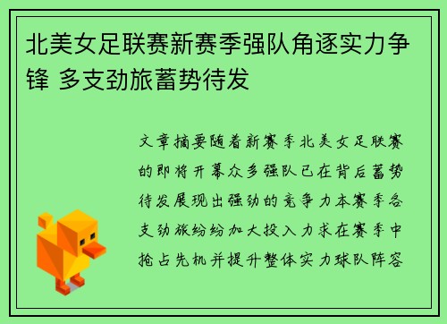 北美女足联赛新赛季强队角逐实力争锋 多支劲旅蓄势待发